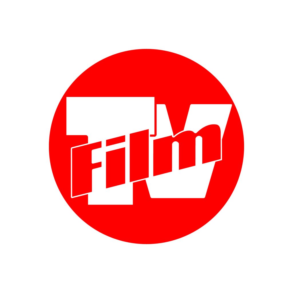 Media Partner Valdarno Cinema Fedic 2017